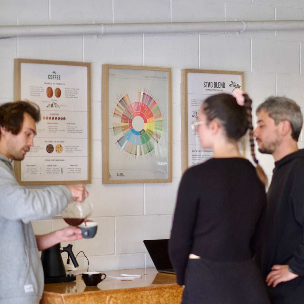 Coffee Learning 2 Day Essential Barista Class | Excelso Coffee NZ
